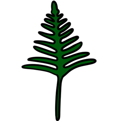 a pinnatifid compound leaf.
